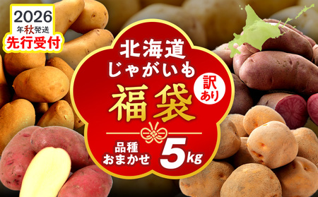 [2026年10月発送!]北海道産 じゃがいも 訳あり 5kg"お楽しみランダム"きたあかり メークイン ノーザンルビー レッドムーン 北海黄金