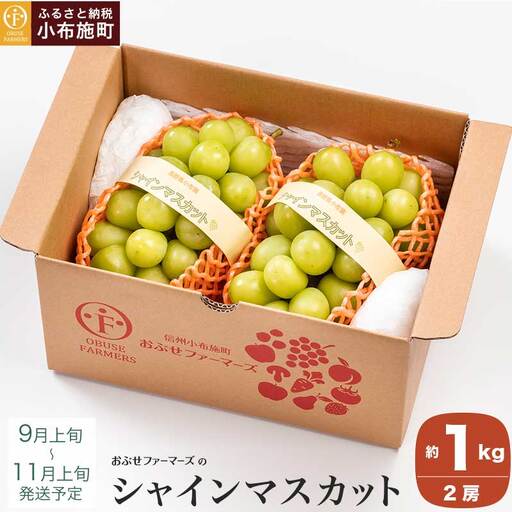 先行受付 シャインマスカット 約1kg 2房 [おぶせファーマーズ] 果物 フルーツ ぶどう 葡萄 数量限定 先行予約 長野 信州 令和8年産 [2026年9月上旬〜11月上旬発送][F-26]