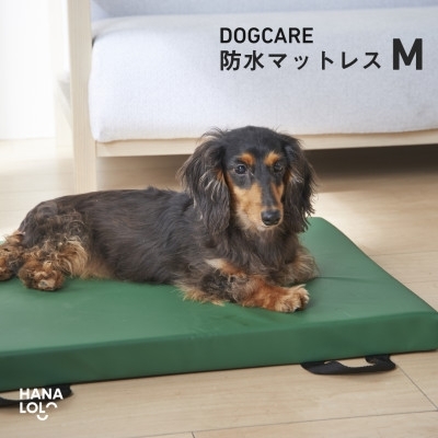 ペット用品 ドッグケア 床ずれ予防マットレス M 1個