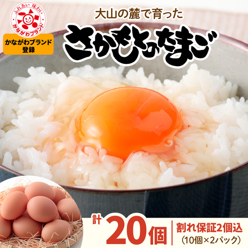 坂本養鶏 大山の麓で育った さかもとのたまご 20個 (18個＋割れ保証2個) [1123]