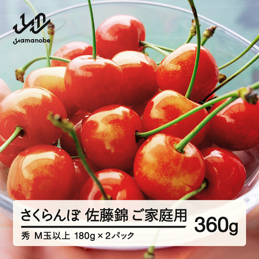 [先行予約] さくらんぼ ご家庭用 佐藤錦 秀品 M玉以上 約360g 令和9年産 2027年産 山形県産 フルーツ 果物 tf-snpsm360