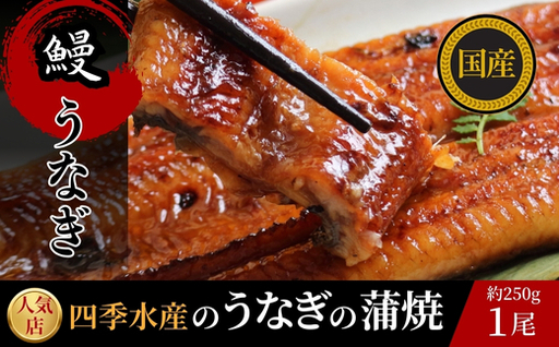 国産うなぎのかば焼き 1切（約250g）