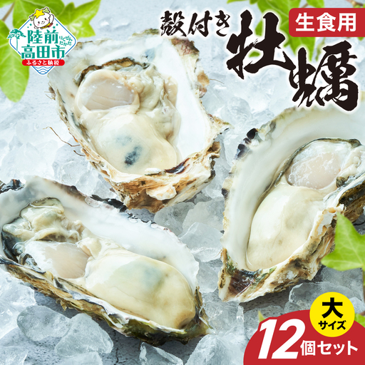 【殻付き生牡蠣】大サイズ12個 冷蔵 生食 牡蠣