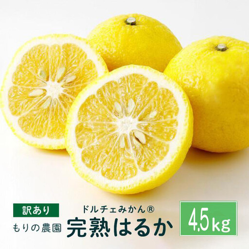 【訳あり】完熟はるか 4.5kg ドルチェみかん 2027年2月中旬より発送予定