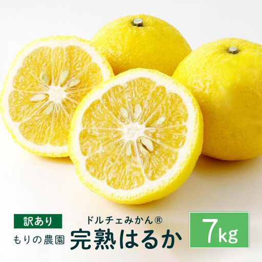 【訳あり】完熟はるか 7kg ドルチェみかん 2027年2月中旬より発送予定