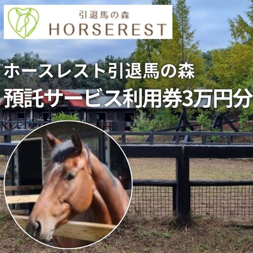 馬の養老牧場 預託利用券3万円分〜ホースレスト引退馬の森〜