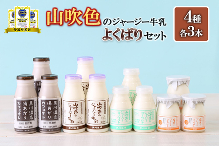 [山のいぶき]山吹色のジャージー牛乳 乳脂肪分 5%以上 低温殺菌 素材味 ジャージー牛乳 飲むヨーグルト 湯あがりカフェオレ プレーンヨーグルトざらめ 各3本 計12本 ギフト 贈答 よくばりセット FOODEX JAPAN ご当地グランプリ 最高金賞 ご当地ヨーグルトグランプリ 金賞 熊本 阿蘇 小国郷