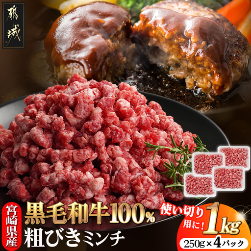 宮崎県産黒毛和牛100%ミンチ(250g×4P)〔MJ-E9-003〕_(都城市)