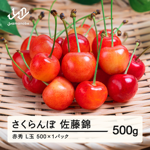 【先行予約】さくらんぼ 佐藤錦 赤秀品 500g×1パック L-2L玉 2027年産 令和9年産 山形県産 mm-snpcx500