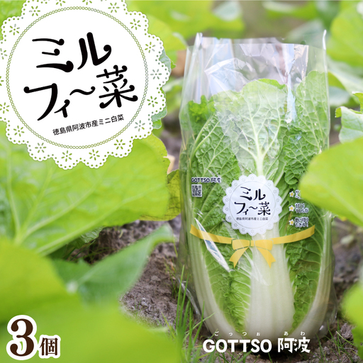 ミニ白菜 ミルフィ〜菜 3個 [ 白菜 ]