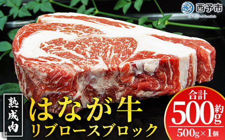 ＜熟成肉 はなが牛リブロースブロック約500g（500g×1個）＞ 牛肉 ステーキ 鉄板焼き 焼き肉 国産 塊肉 かたまり 霜降り しもふり バーベキュー BBQ キャンプ アウトドア 特産品 ゆうぼく 愛媛県 西予市【冷凍】『2か月以内に順次出荷予定』UYB0020