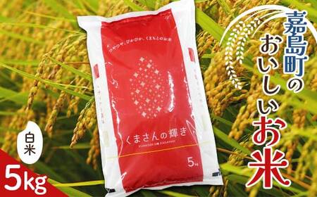 FK7-0264_【嘉島町産】くまさんの輝き 5kg 米 お米 コメ ごはん ご飯 食品 九州 熊本県 熊本 嘉島