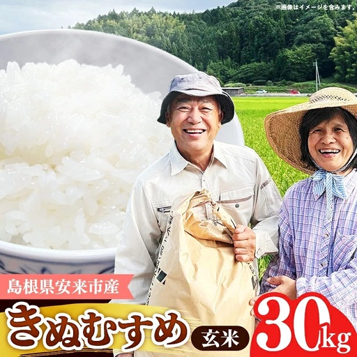 【先行受付】 島根県安来市産 きぬむすめ 玄米 30kg 【令和8年産 新米 先行予約 新米予約 お米 こめ コメ 米 ごはん ご飯 国産 お弁当 美味しい 人気 おすすめ 島根県 安来市】【75-HI-02】