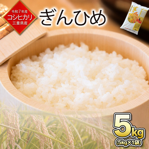 米 三重県産 コシヒカリ ぎんひめ 5kg×1袋