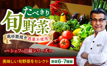 野菜 (6-7種) 少量 野菜セット[AGBX043]