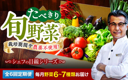 野菜 定期便 [全6回](6-7種)少量 野菜定期便[AGBX045]