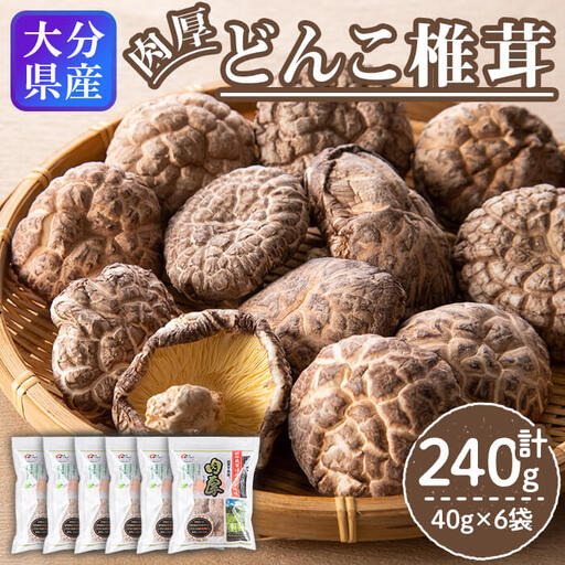 大分県 国東半島産 どんこ椎茸 (計240g・40g×6袋) 椎茸 シイタケ 小分け 肉厚 きのこ キノコ おかず お惣菜 惣菜 常温【opap002】【大分乾物】