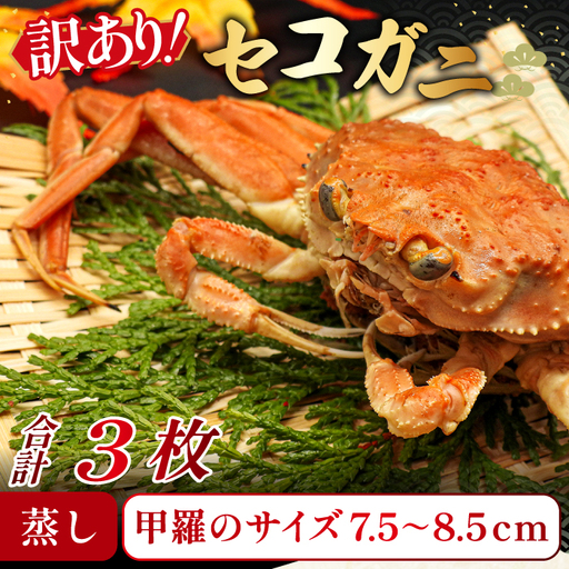 【蒸し】訳あり足折れご自宅用 日本海産親ガニ（セコガ二）3枚【訳あり かに カニ 親ガニ セコガニ ずわいがに ズワイガニ 冷蔵 チルド ブランド 蒸し ボイル 足折れ 自宅用 国産 季節限定 お取り寄せ 鳥取県 日吉津村 日本海】