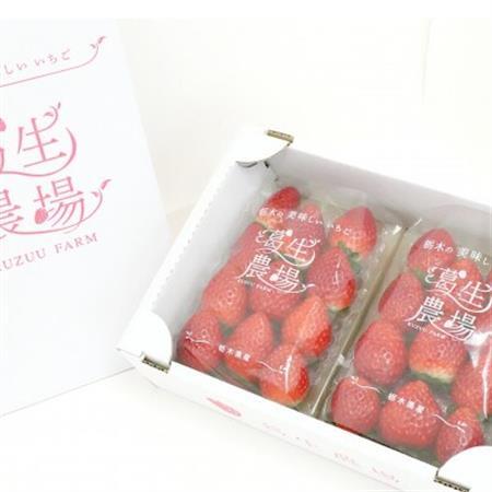 『葛生農場』栃木の新品種『とちあいか』(260g×2パック)【配送不可地域：離島】【1642092】