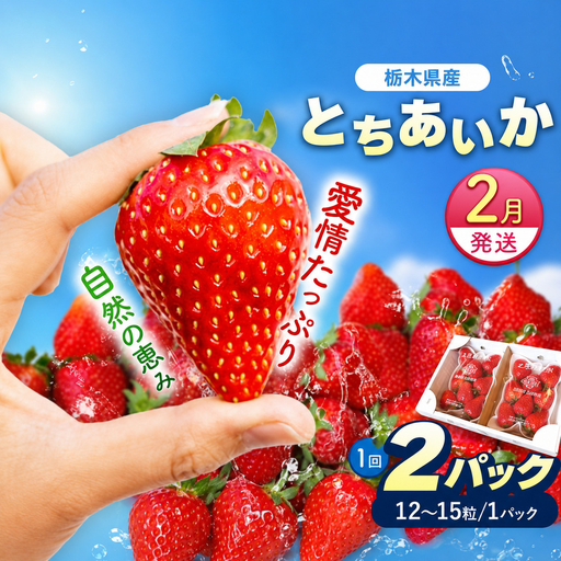 [2月以降発送]いちごの新定番 ★とちあいか★ 12～15粒×2P 2027年 1月～4月上旬発送！【2027年先行予約】栃木県 矢板市産