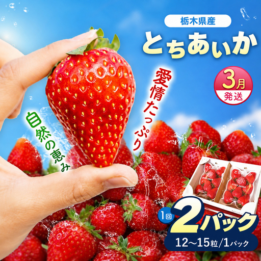 [3月以降発送]いちごの新定番 ★とちあいか★ 12～15粒×2P 2027年 1月～4月上旬発送！【2027年先行予約】栃木県 矢板市産