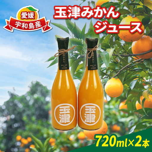みかんジュース 720ml× 2本 玉津柑橘倶楽部 みかんジュース