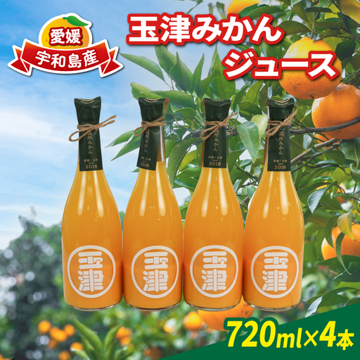 みかんジュース 720ml× 4本 玉津柑橘倶楽部 ジュース H018-072050