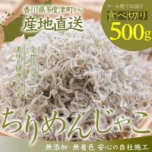 瀬戸内香川県産 ちりめん 500g[予約受付中:令和8年6月頃より発送][L-64]