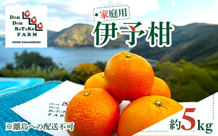 【先行予約】【家庭用】伊予柑 約5kg | 柑橘 みかん 果物 フルーツ 愛媛県産 農家直送　※離島への配送不可　※2027年1月中旬から順次発送予定  IKTAU001