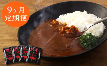 【9ヶ月定期便】熊本県産あか牛使用 くまもとあか牛 ビーフカレー 4人前 計640g(160g×4袋)