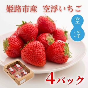 いちご 空浮いちご 4パック 姫路産 ハウス育ち いちご