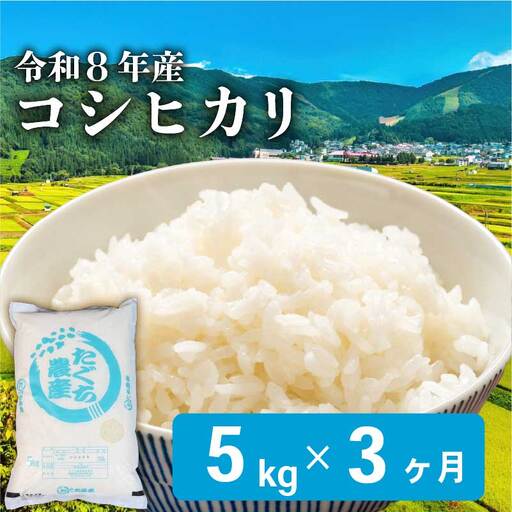 令和8年産 新米 こしひかり 5kg 3回定期便 新米