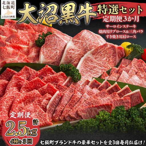 [北海道ブランド牛]大沼黒牛の特選セット 定期便3ヶ月