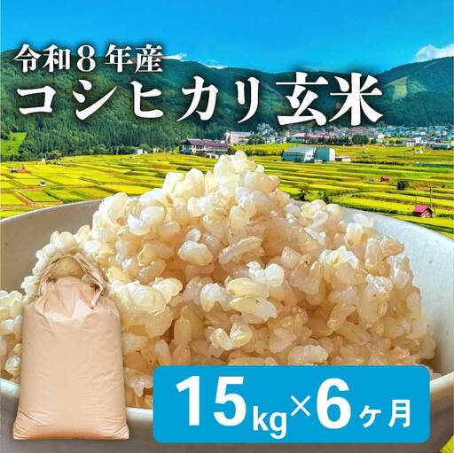 令和8年産 玄米 こしひかり 15kg 6回定期便 玄米