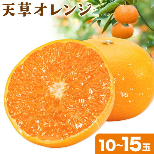 ハウス追熟 天草オレンジ 10玉～15玉入 【配送不可地域あり】※離島