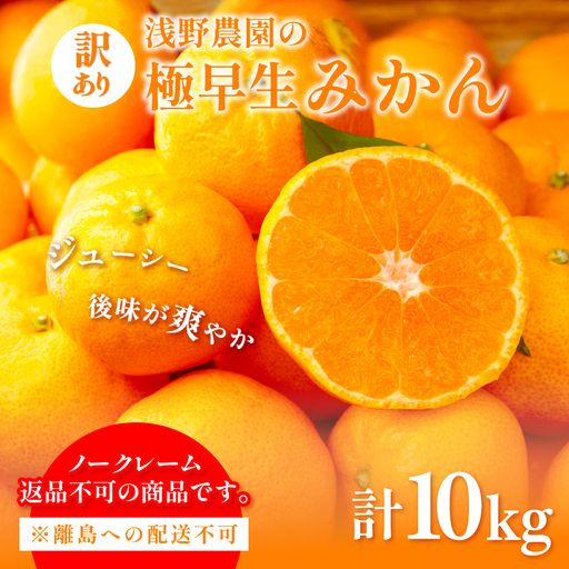 【先行予約】浅野農園の極早生みかん 訳あり計10kg ※着日指定不可 ※離島への配送不可（2026年10月上旬～11月中旬頃に順次発送） IKTAC001