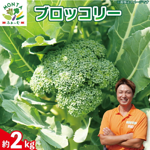 ブロッコリー 約2kg 【 ブロッコリー 】