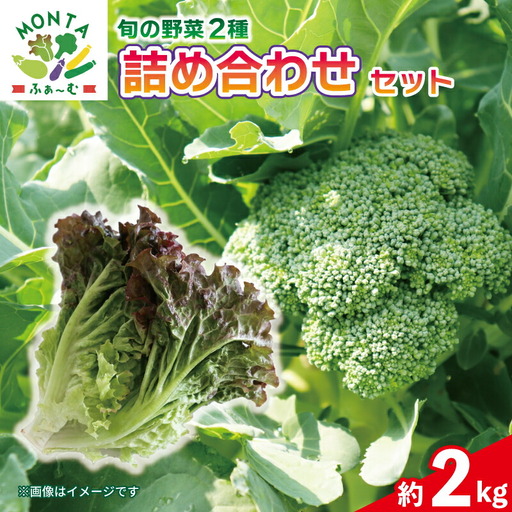 野菜 ブロッコリー サニーレタス 約2kg 詰め合わせ