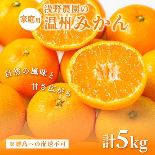 【先行予約】浅野農園の温州みかん 家庭用計5kg ※離島への配送不可（2026年12月上旬～12月中旬頃に順次発送予定 ） IKTAC004