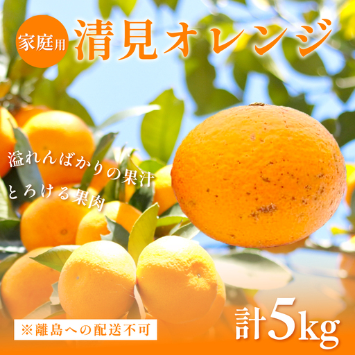 【先行予約】【家庭用】清見オレンジ計5kg ※離島への配送不可（2027年3月上旬頃より順次発送予定） IKTAC007