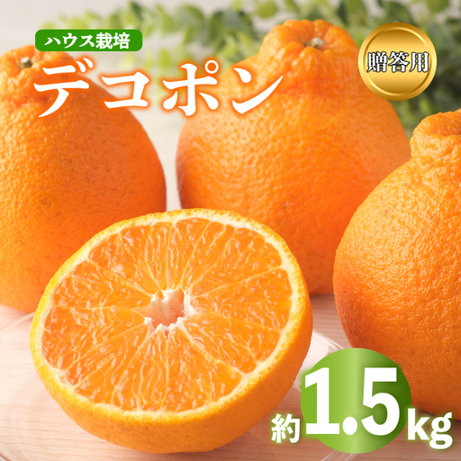 デコポン 不知火 約1.5kg 2027年 先行予約  秀品 デコポン
