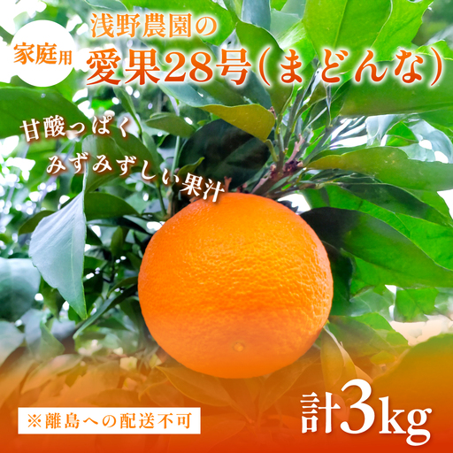 [先行予約][数量限定]浅野農園の愛果28号(まどんな)家庭用計3kg※離島への配送不可(2026年12月中旬〜2027年1月中旬頃に順次発送予定) IK