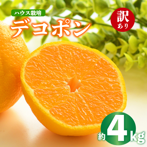 デコポン 不知火 約4kg 2027年 先行予約 訳あり デコポン デコポン デコポン