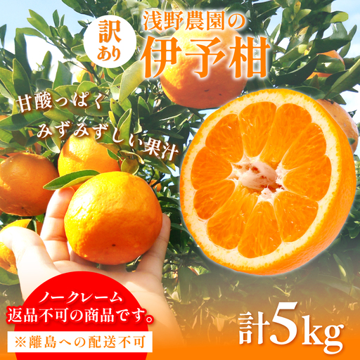 【先行予約】【訳あり】伊予柑計5kg ※離島への配送不可（2027年2月上旬頃より順次発送予定 ） IKTAC034