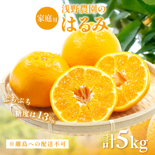 【先行予約】【家庭用】はるみ計5kg※離島への配送不可（2027年2月上旬頃より順次発送予定） IKTAC031