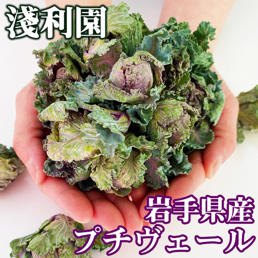 [ 先行予約 2026年 12月中旬 発送] 岩手県産 プチヴェール 600g [淺利園]
