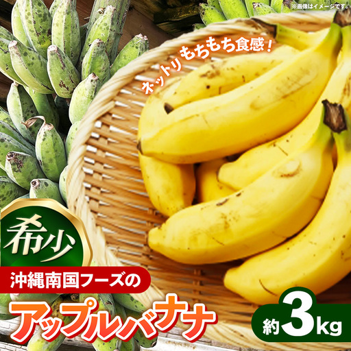  国産 希少種！南国フーズのアップルバナナ 約3kg - バナナ ばなな 小ぶり 沖縄県 産地直送 果物 フルーツ 南国 朝食 おすすめ 沖縄県 八重瀬町【価格改定】