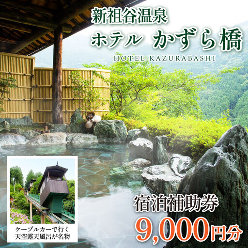 新祖谷温泉ホテルかずら橋 宿泊券 9,000円分 徳島 旅行 温泉 ホテル【 旅行 】