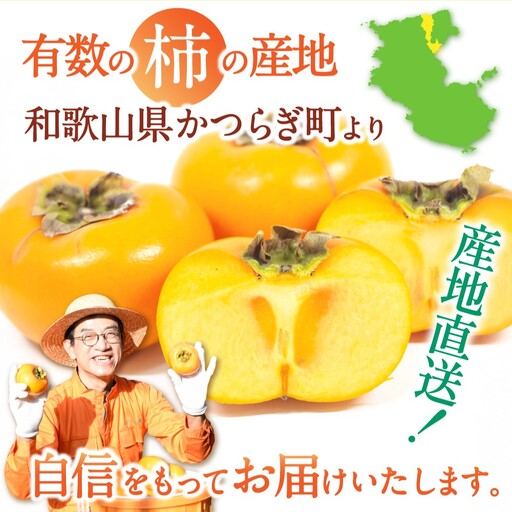 柿 お試しに！カキエモン農園のたねなし 柿 約2kg 【2026年9月下旬～11月上旬頃順次発送】【BX-kkem006A】