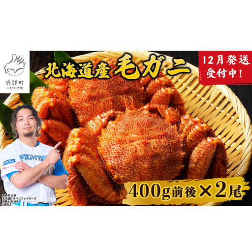 【2026年12月発送】北海道産 ボイル毛蟹 約800g（400g前後×2尾）蟹 カニ 冷凍